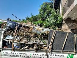  St Bonifacius, MN Junk Removal Pros